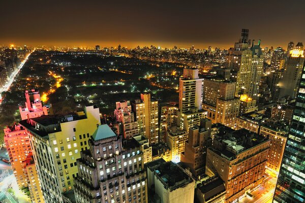 Night City Central Park