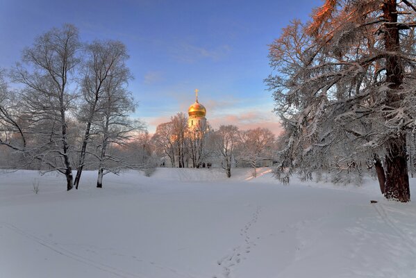 Templo en la mañana del invierno en San Petersburgo
