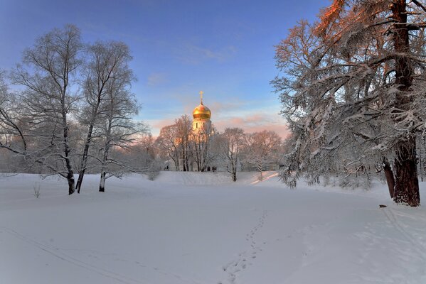 Tempio di mattina d inverno a San Pietroburgo