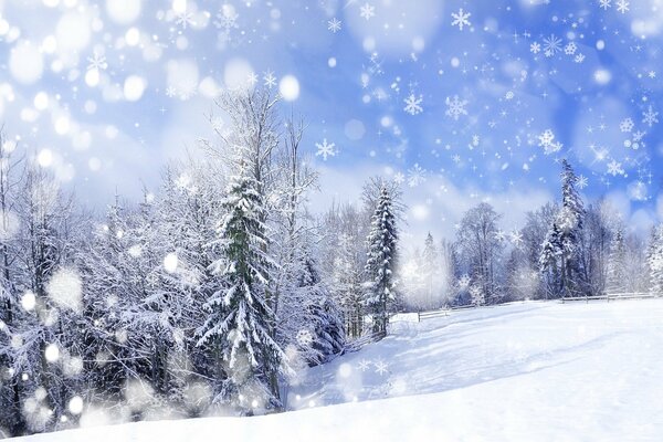 Abondance de neige et de flocons de neige planant dans l air