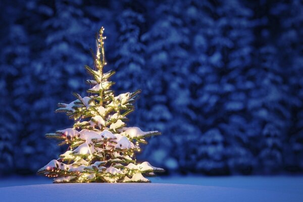 Árbol de Navidad adornado con guirnaldas