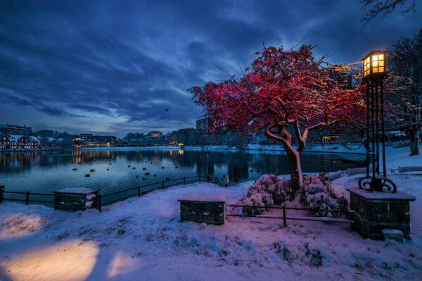 Winter landscape in the light of lanterns, Belgium