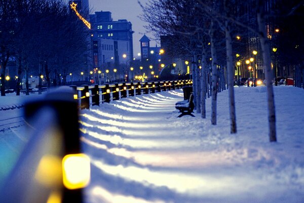 Strada notturna invernale innevata