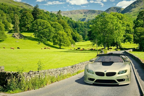 BMW cavalca la strada tra le montagne e gli alberi