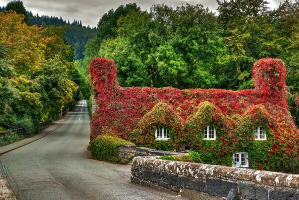 La nature est très belle avec son paysage