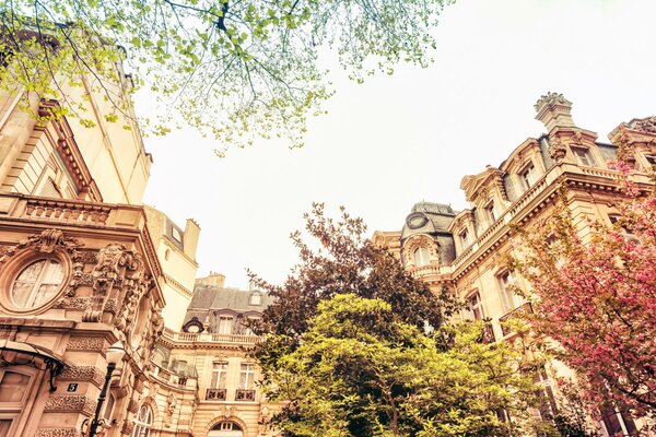 Maisons parisiennes printanières en France