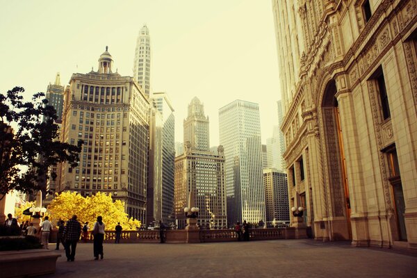 Gratte-ciel de printemps de la ville de Chicago