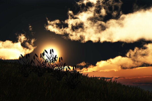 Grass on the background of a yellow sunset