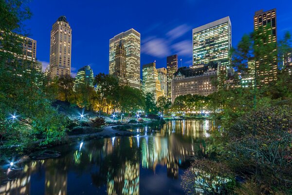 A lake in the middle of a night metropolis