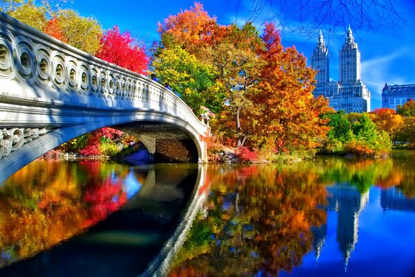 Paisaje otoñal de nueva York con un puente sobre un río. Hojas multicolores y cielo azul en nueva York