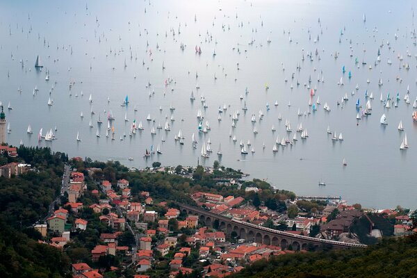 Fue en barcolana 2014 Italia Trieste divertido