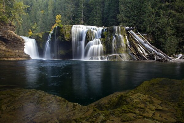 Cascada rodeada de bosque verde oscuro y el paisaje del río