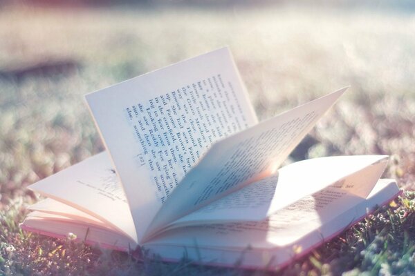 Lumière du soleil sur le livre ouvert