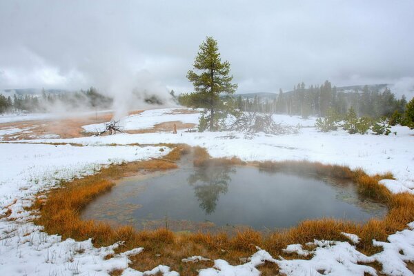 A small lake surrounded by red grass and snow, pine trees