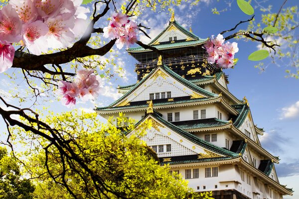 Castello giapponese nei boschi di Sakura