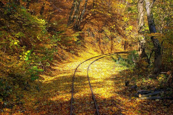Antiguo ferrocarril en hojas de otoño