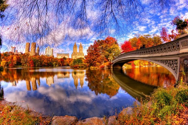 Heller Herbst im Park vor dem Hintergrund der Stadt und einem Teich mit einer Brücke
