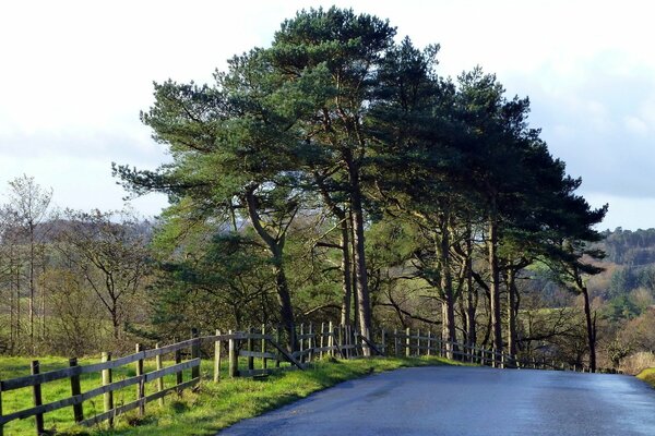 Route de dol haie avec beau paysage