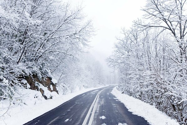 Winterstraße vor dem Hintergrund von schneebedeckten Bäumen