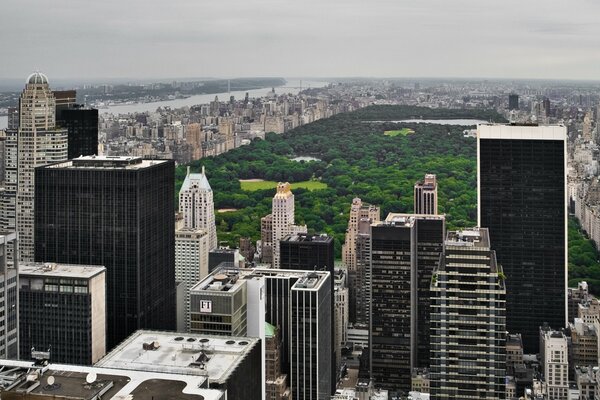 Central Park y rascacielos en Estados Unidos