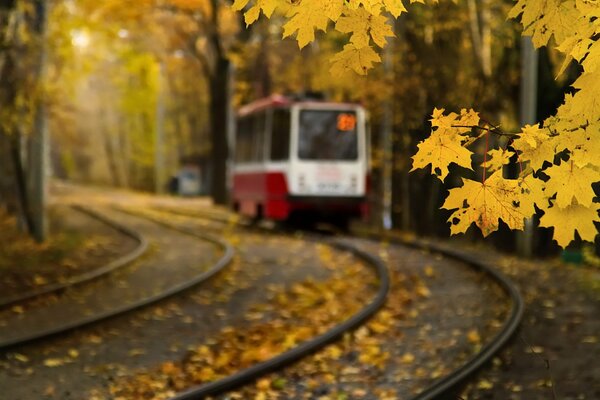 Die Moskauer Straßenbahn fuhr im Herbst