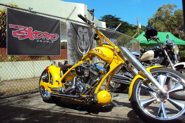 Sexy yellow harley davidson motorcycle