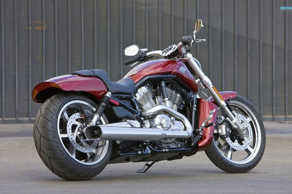 Red Harley Davidson bike, side view