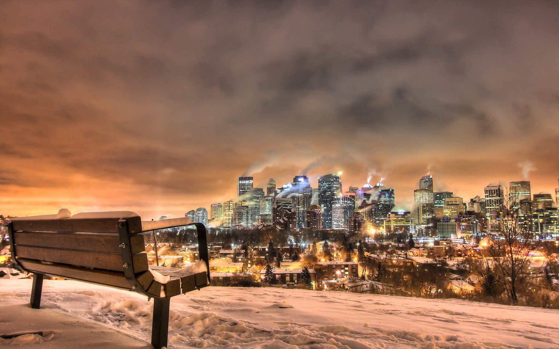 notte città calgary panchina