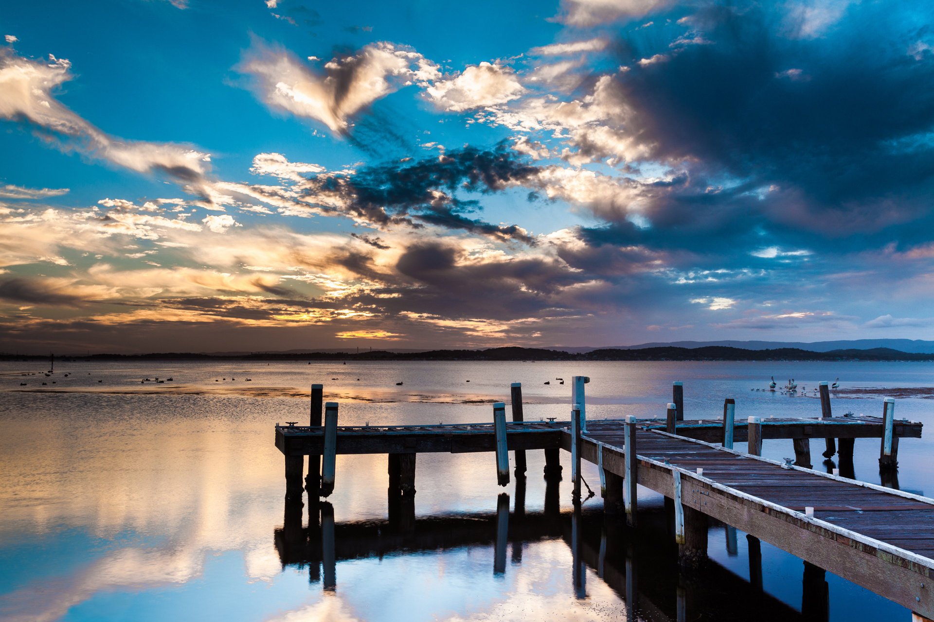 pelecanos muelle agua nubes cielo