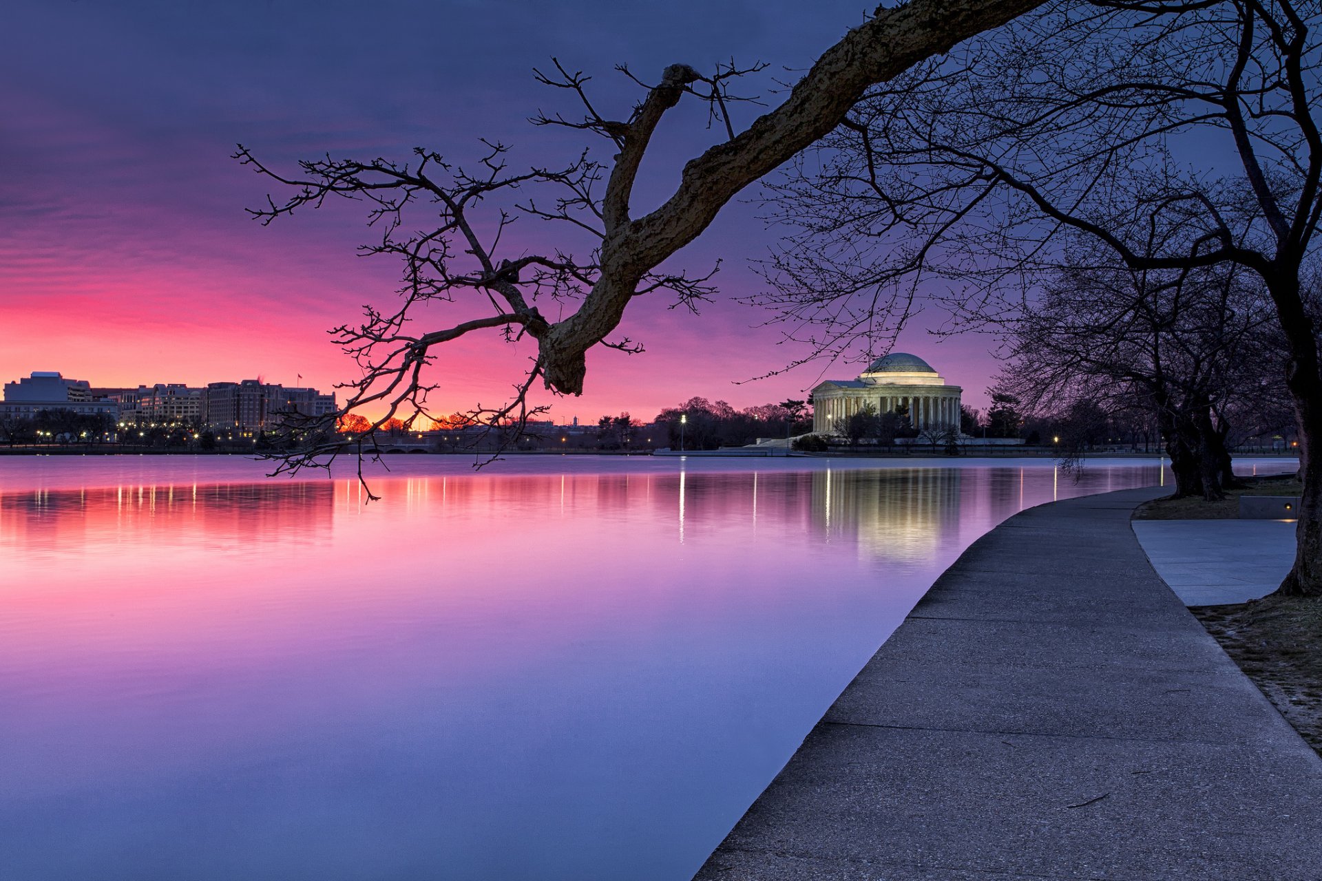 estados unidos washington noche árboles parque río linternas azul púrpura cielo puesta de sol luz iluminación azul púrpura