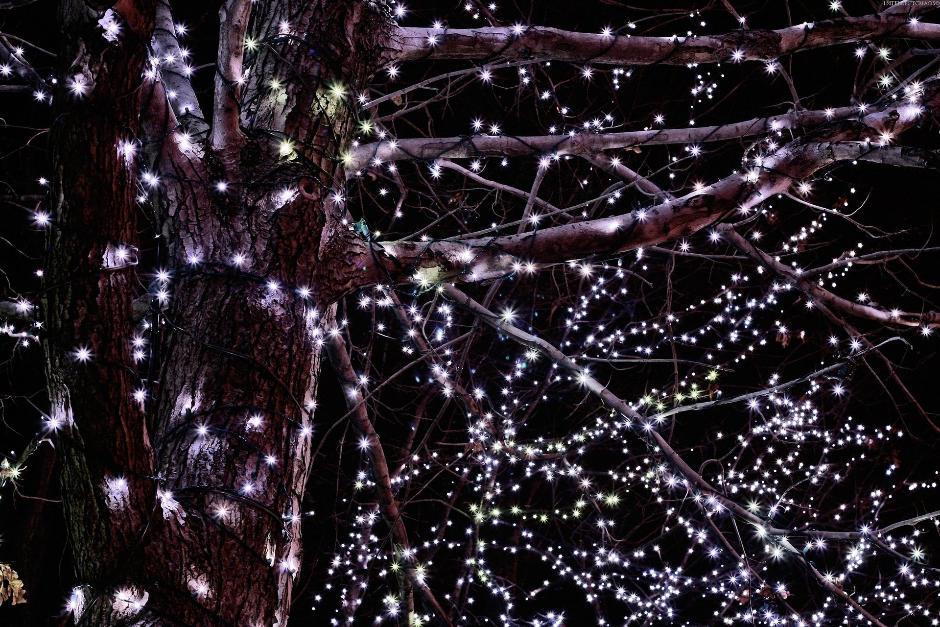 girlanden zweige lichter nacht abend straße baum