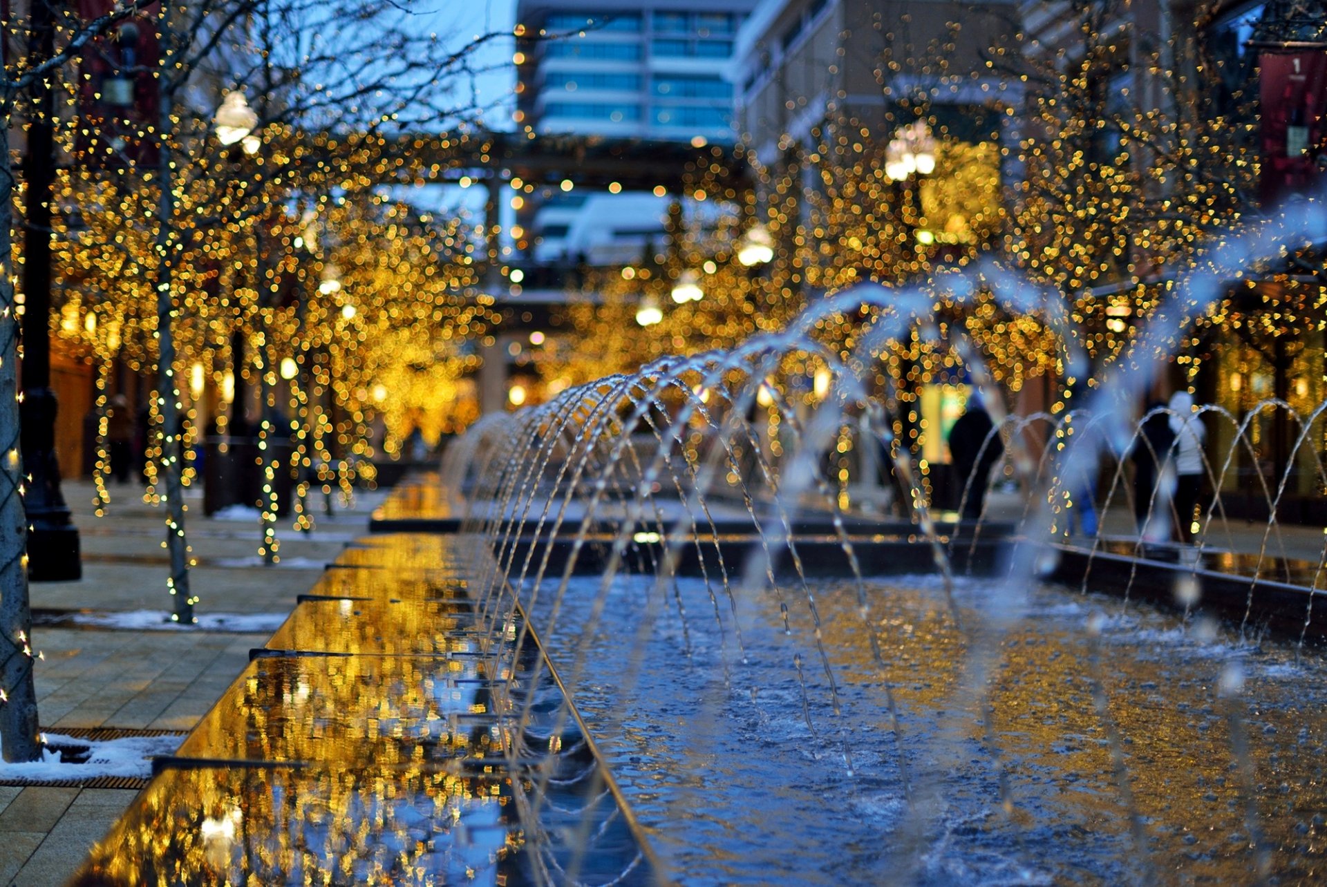 utah united states of america usa city creek center city evening fountain trees garlands bokeh lights buildings winter holiday