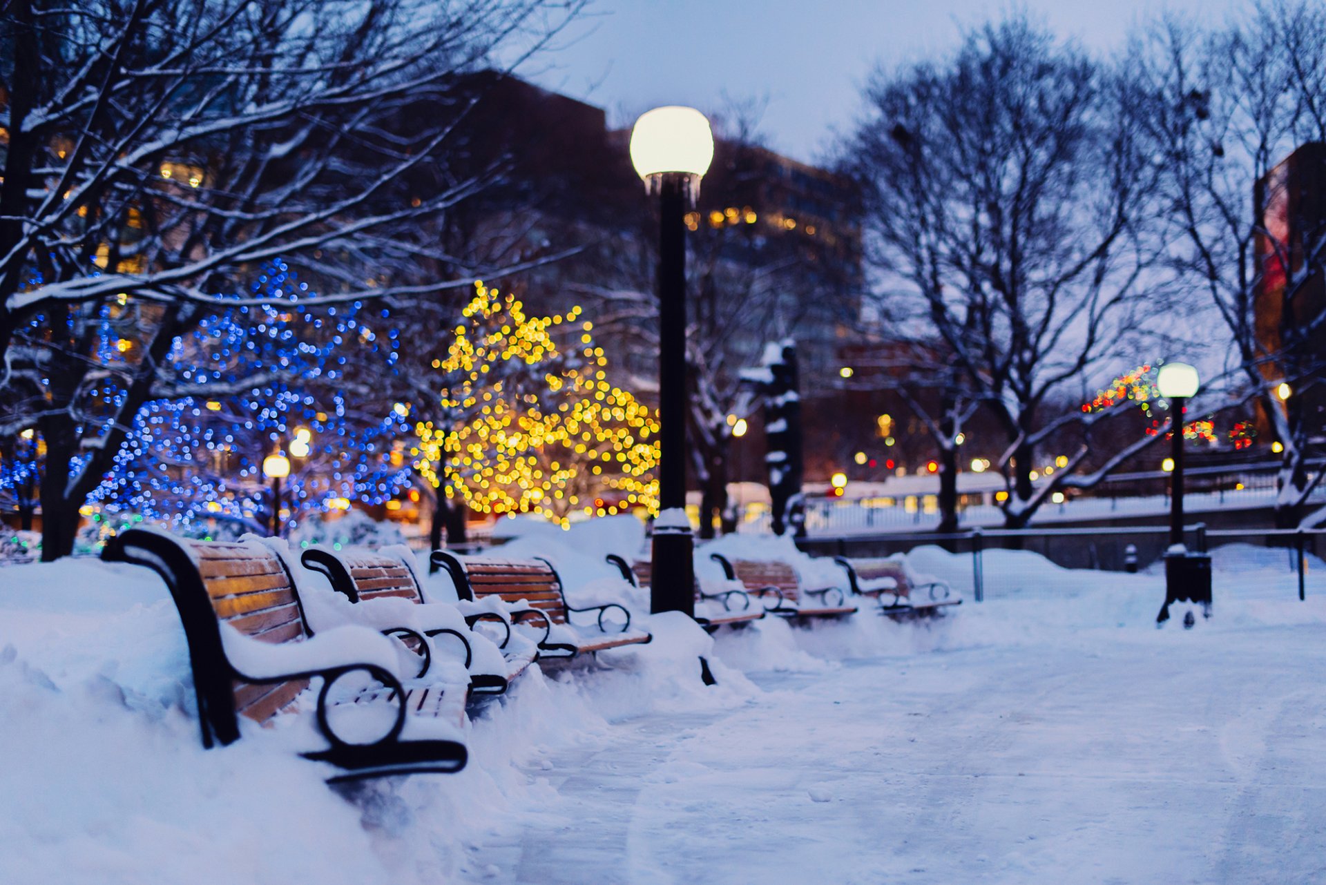 città sera inverno neve panchine panchine panchine lanterne luci luci ghirlande bokeh alberi vacanze