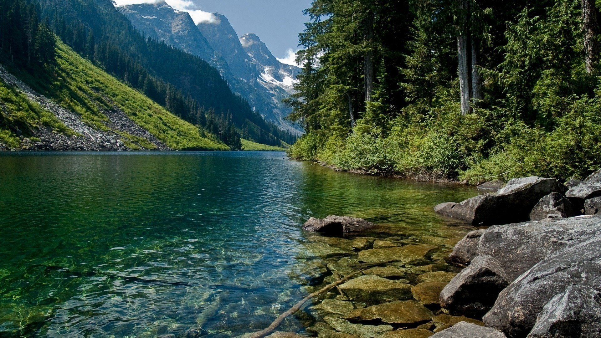 pietre montagne fiume foresta