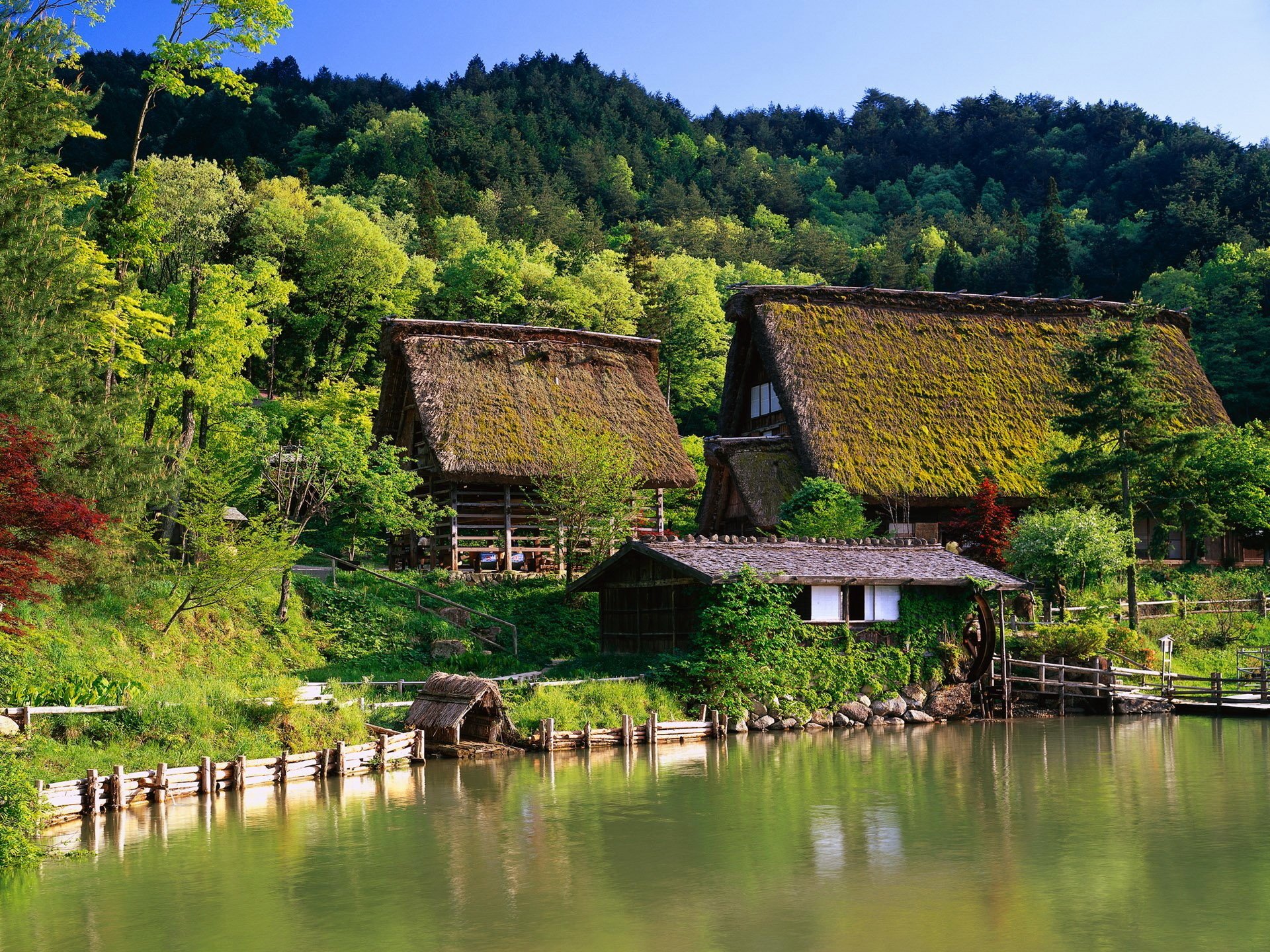 cytuje japonia domy gospodarstwo dom altana las brzoza woda