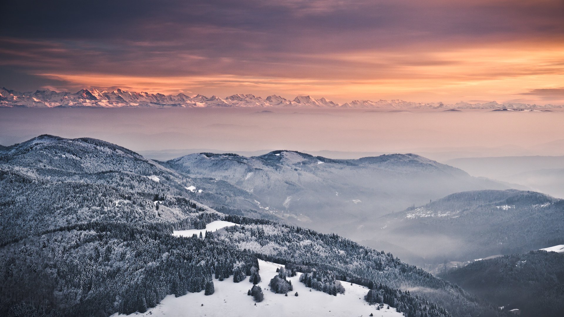 hiver arbres soirée alpes brouillard neige montagnes collines