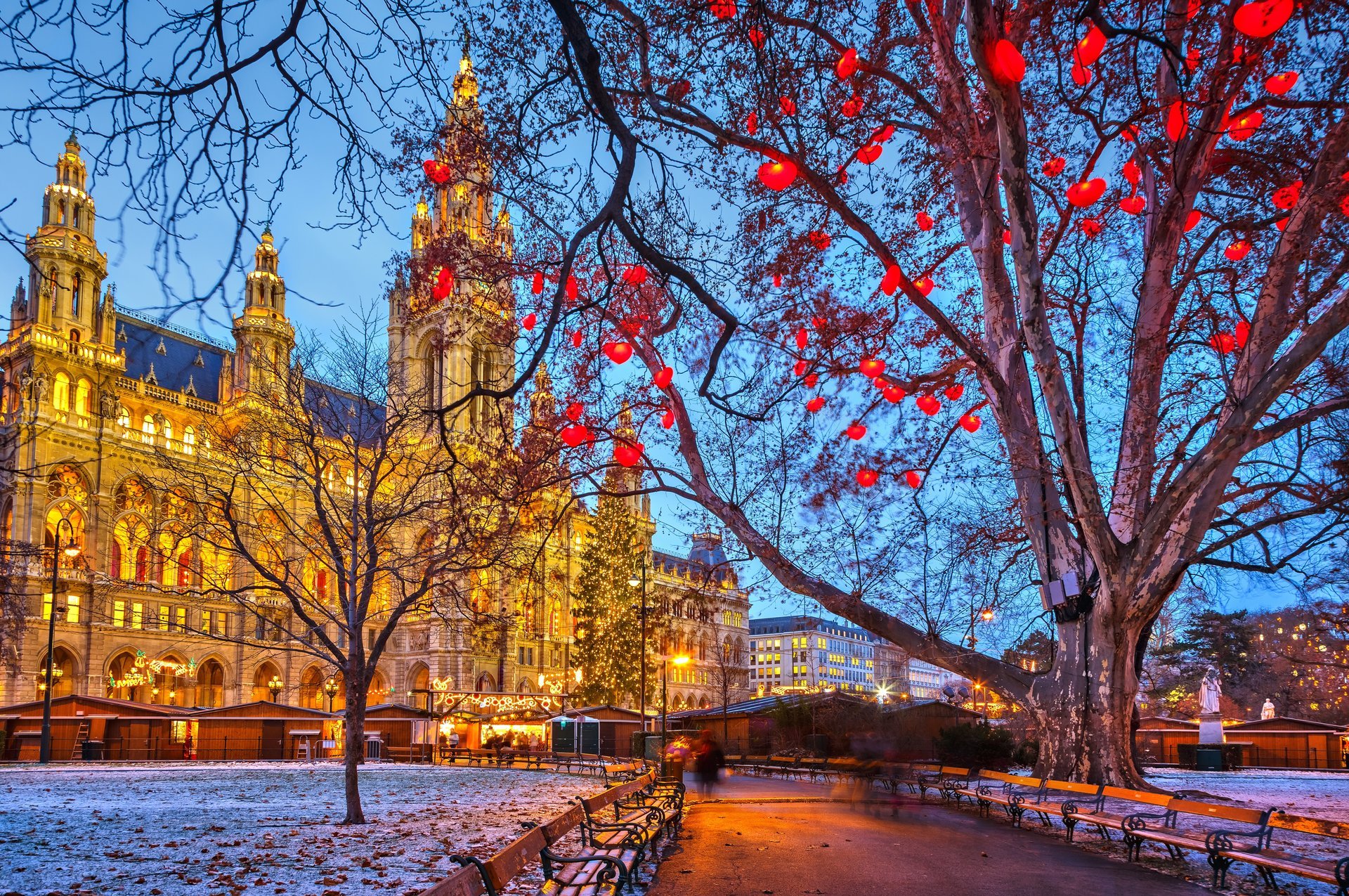 viena austria ayuntamiento de viena ayuntamiento de viena invierno nieve ciudad noche navidad vacaciones calle árboles bancos edificios luces iluminación