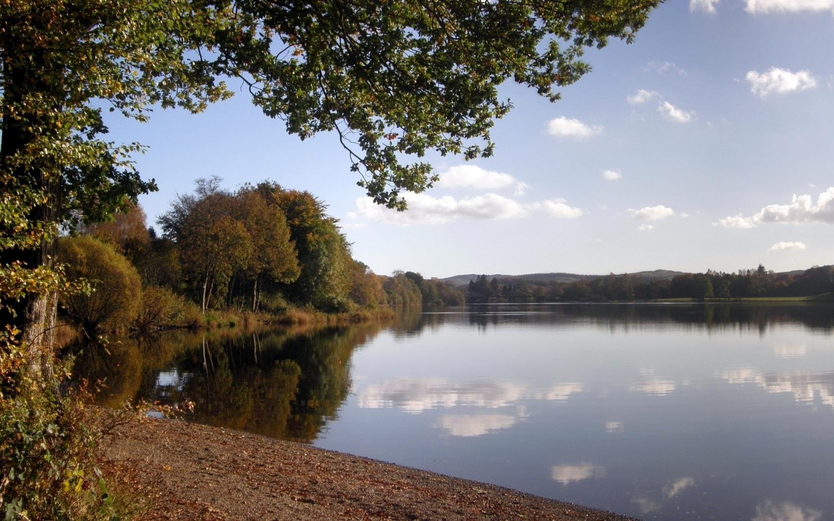 foresta alberi nuvole cielo autunno lago