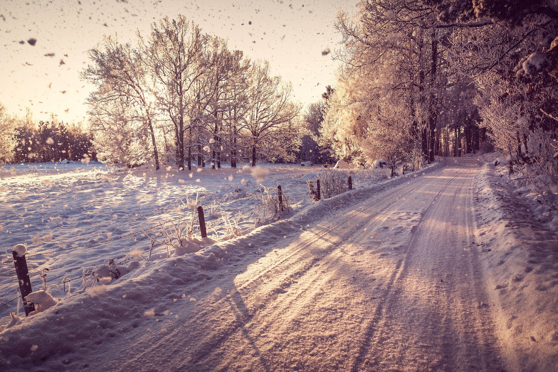 inverno natura neve strada alberi