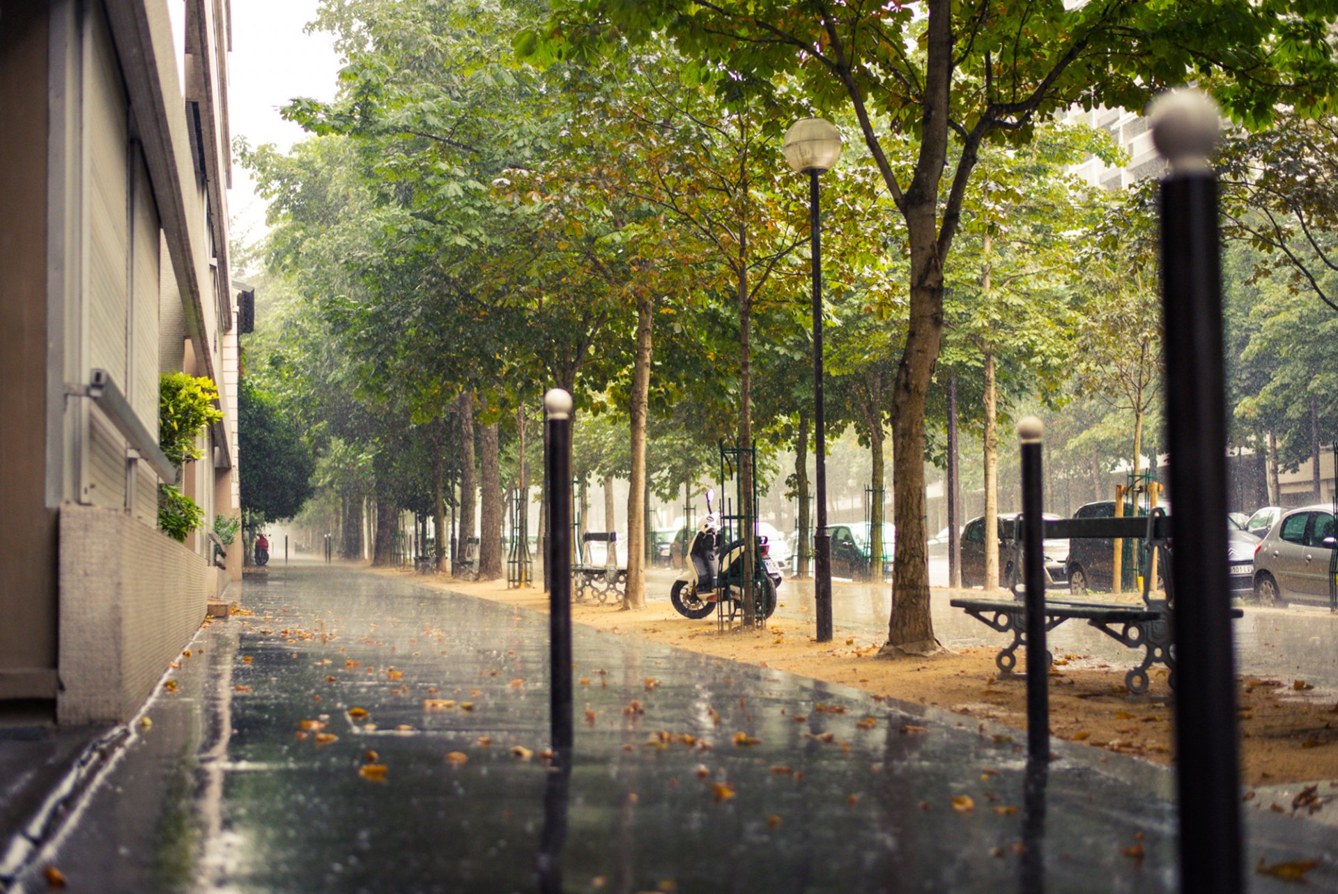 parís francia lluvia ciudad acera calle camino coches edificios casas bancos bancos árboles