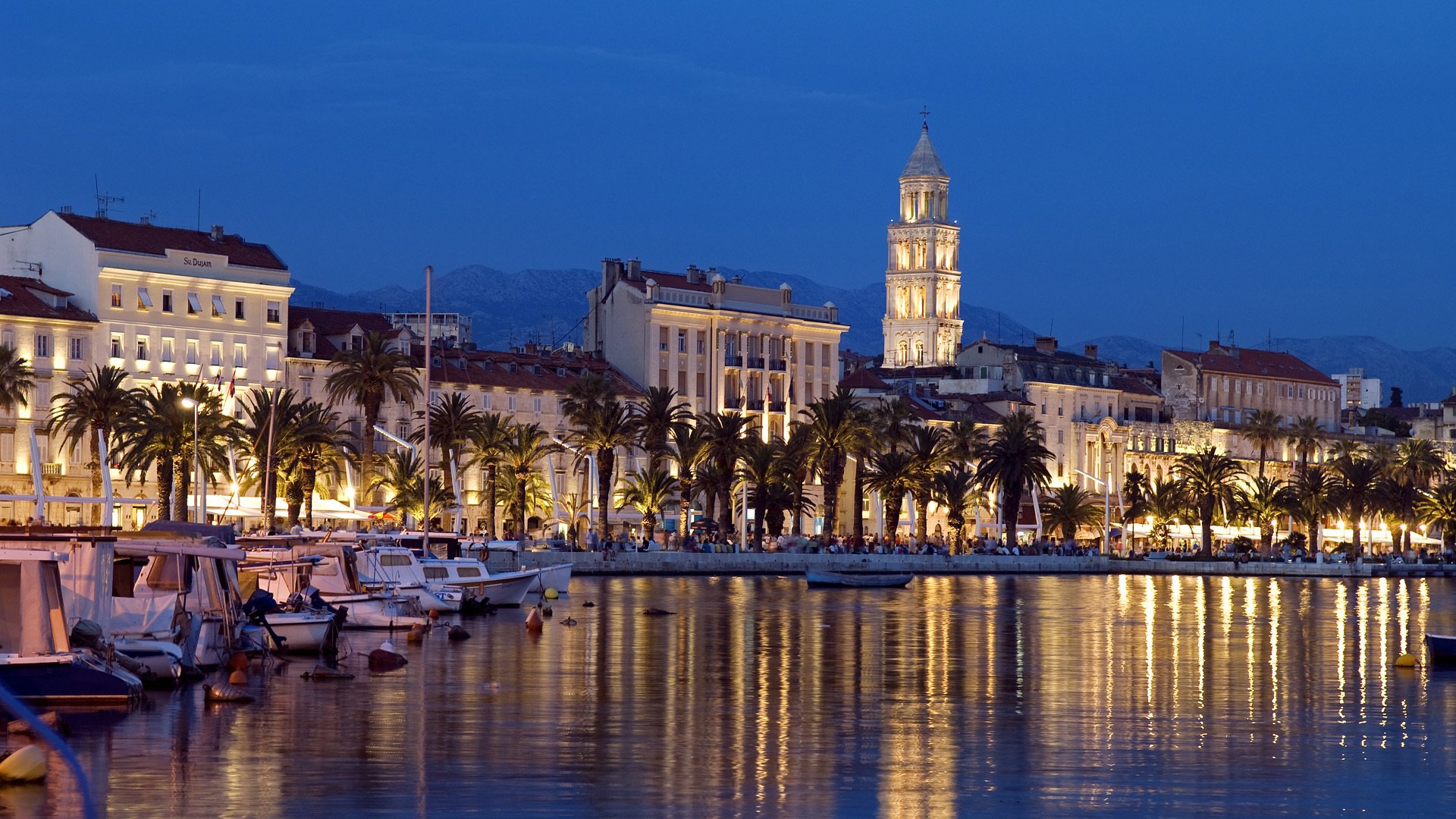 spalato croazia lungomare baia barche barche edifici città notturna palme