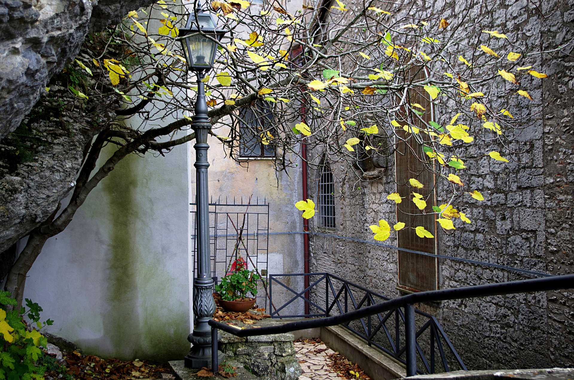 miasto dom patio latarnia drzewo jesień