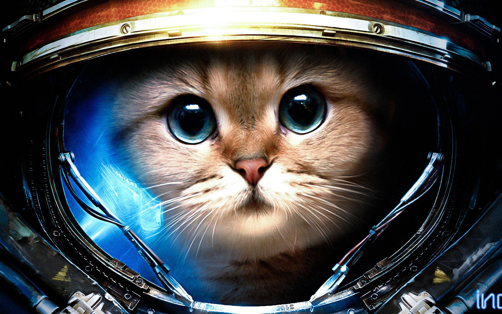 tuta spaziale gatto starcraft