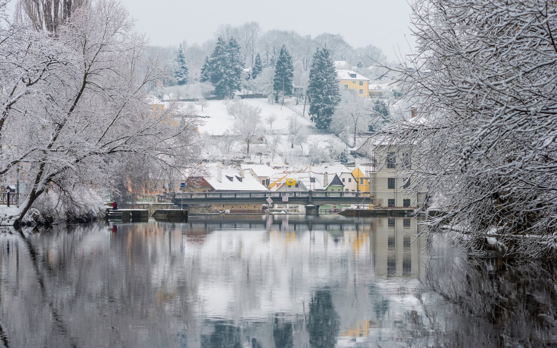 repubblica ceca praga fiume moldava inverno alberi neve