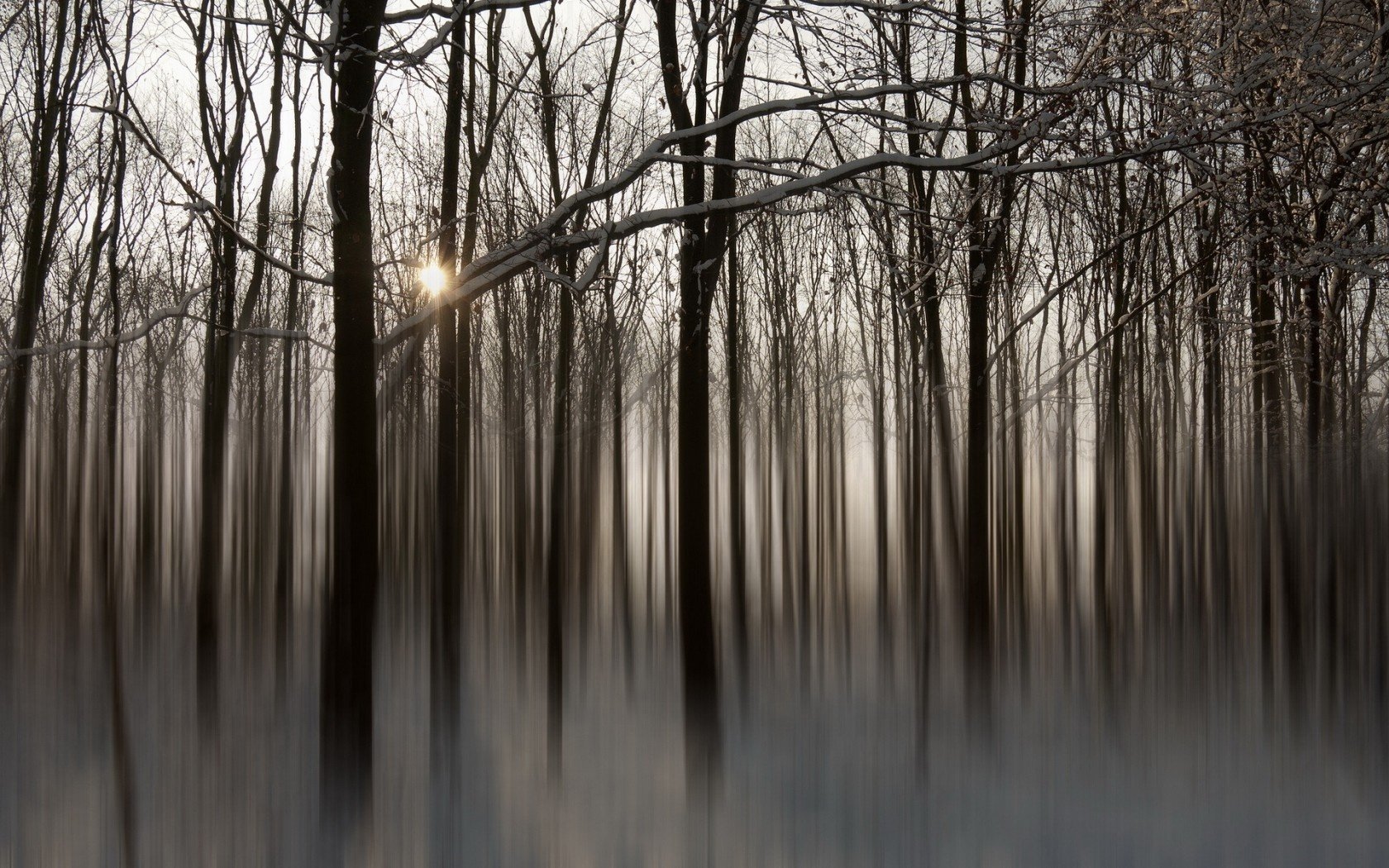 style forêt nature