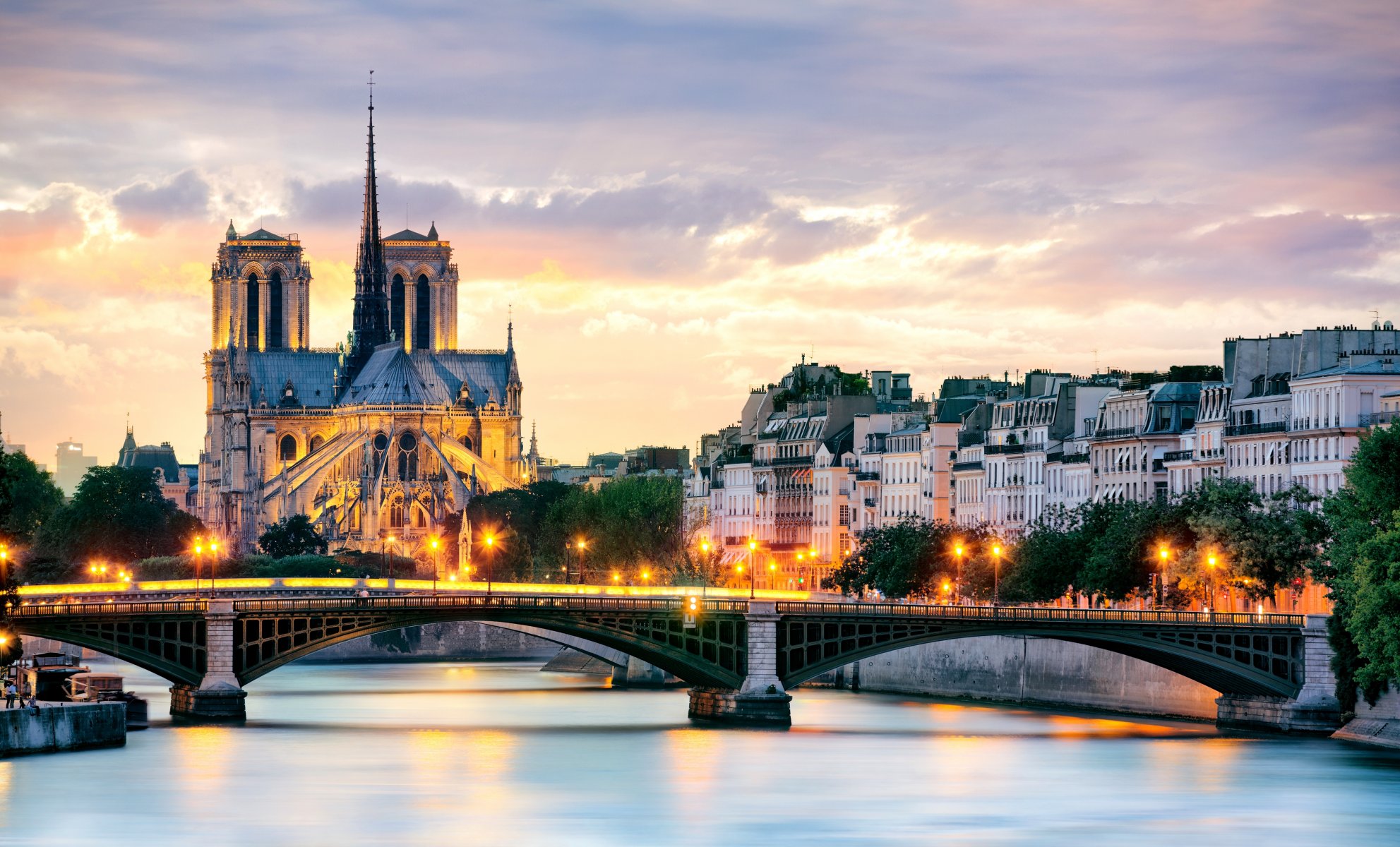 parigi francia città notre-dame de paris notre-dame de paris notre-dame de paris ponte illuminazione lanterne fiume senna case edifici tetti alberi sera