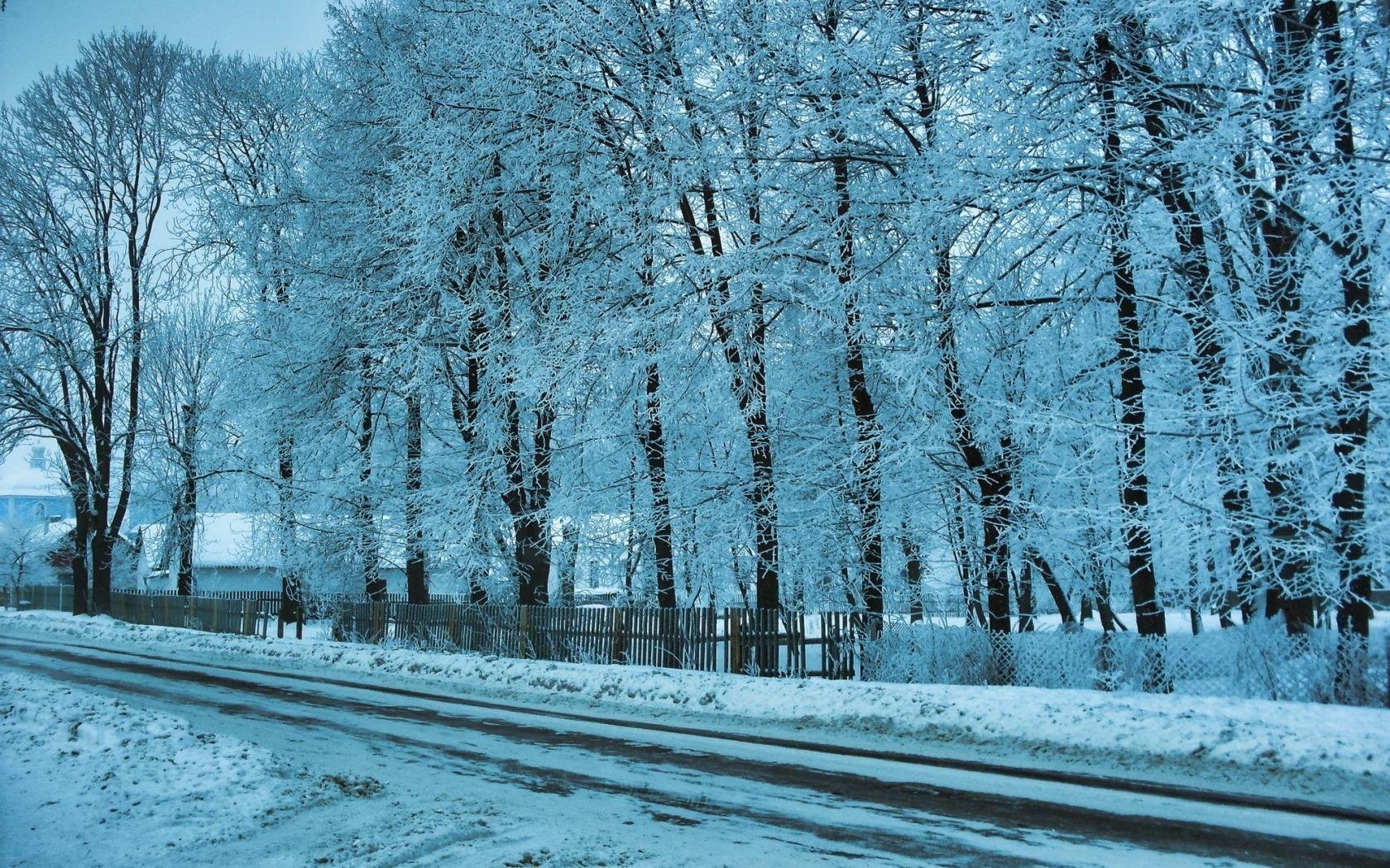 дома дорога деревья зима