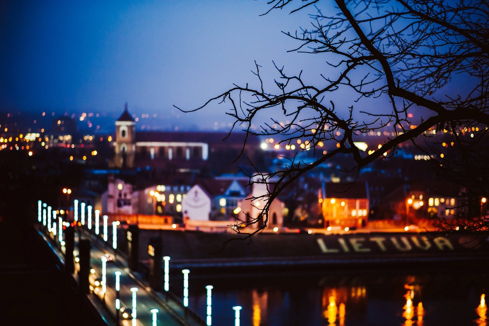 kaunas lietuva lituania città notte ponte strada luci ramo alberi albero sfocatura