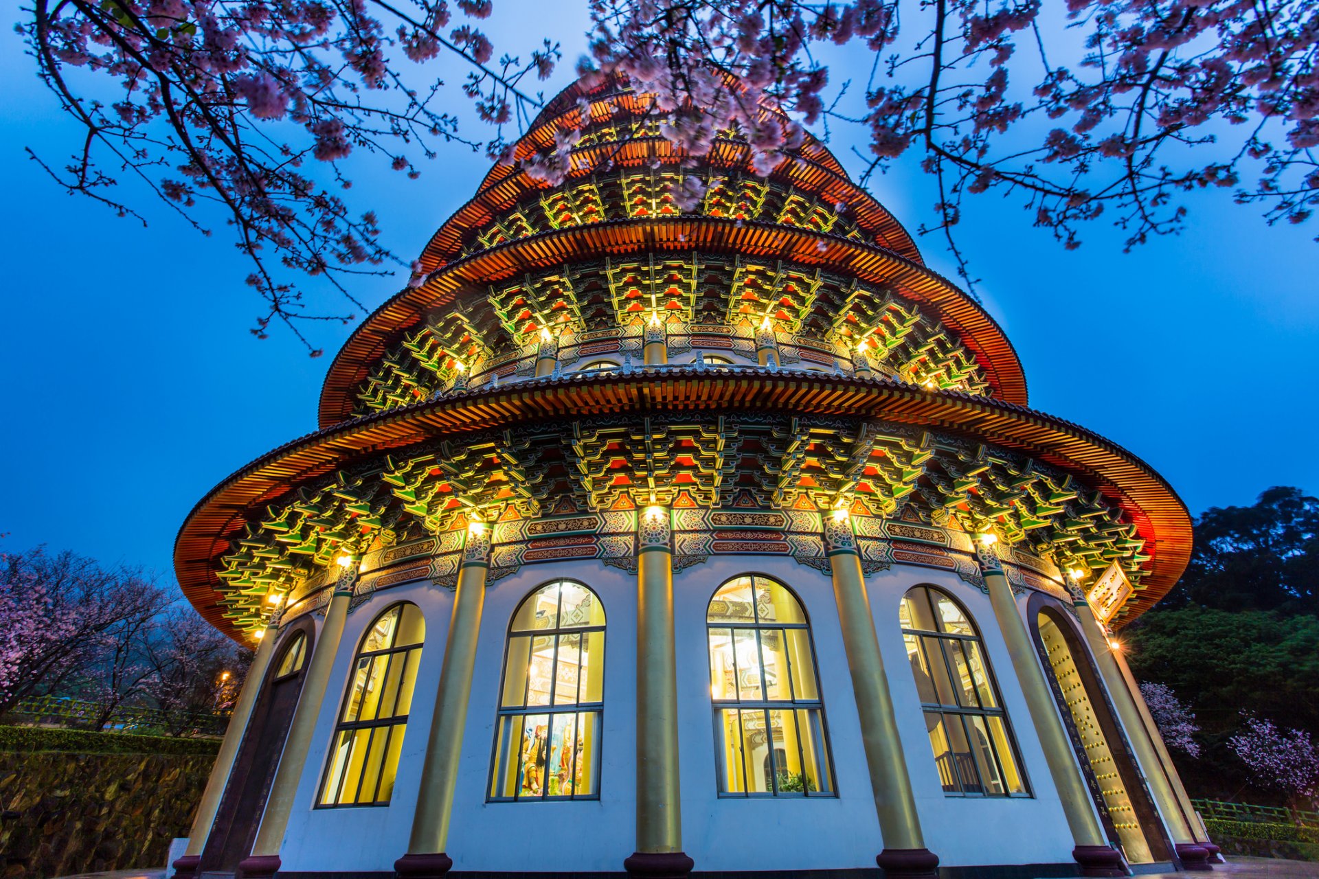 taiwan taipei temple lighting tree bloom night blue sky