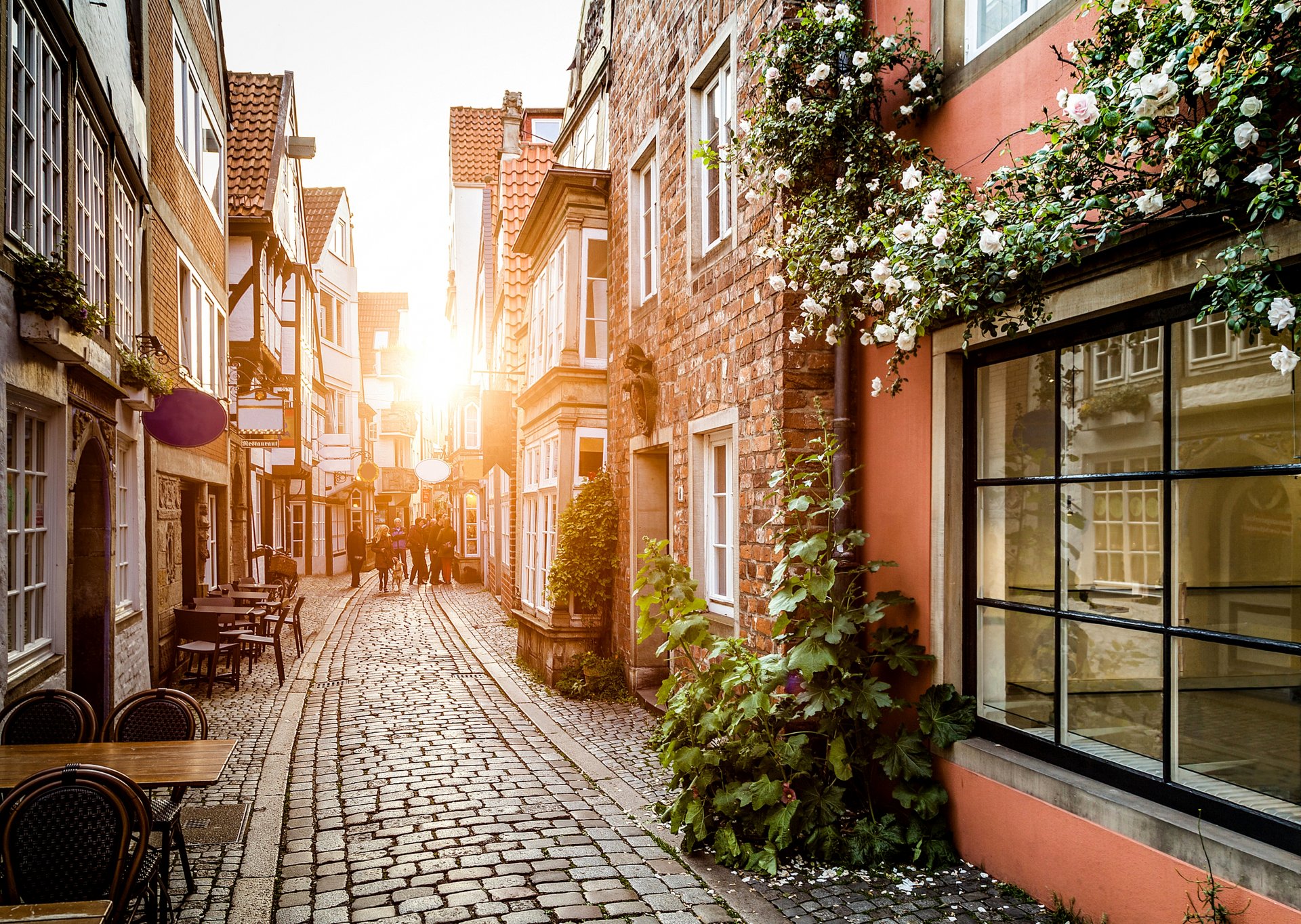 alemania ciudad calle casas edificios ventanas flores camino adoquines mesas personas